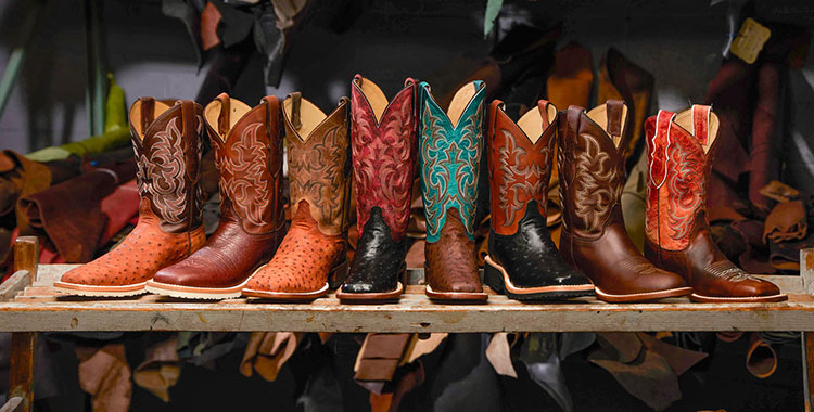 A photo of men’s and women’s cowboy boots lined up in a row with different colors, skins, and styles of brown, tan, maroon, turquoise, burnt orange, and red shafts and brown, tan, and black counters, all posed in front of shelves of rolled up leather skins. 